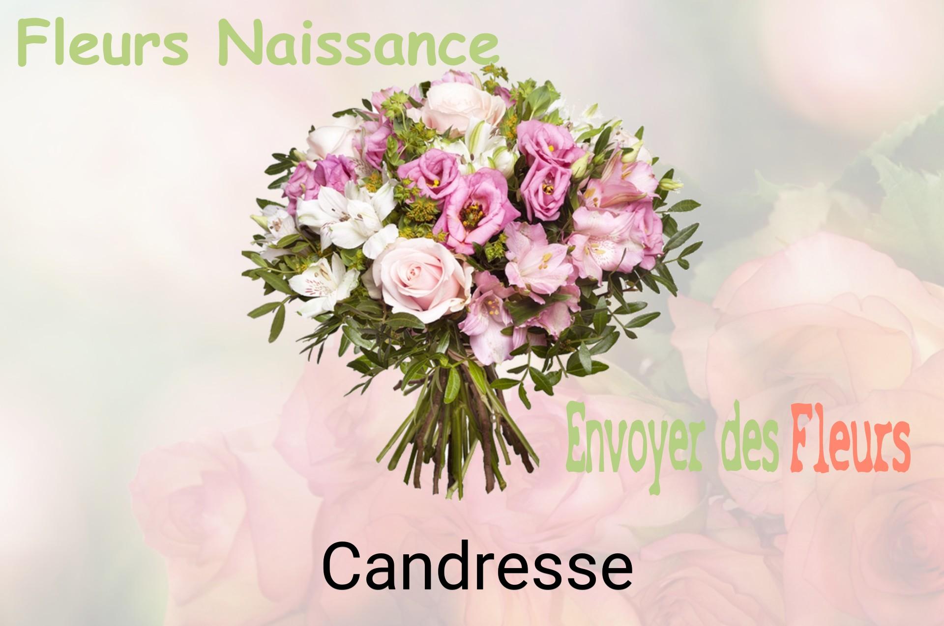Bouquet de fleurs de naissance livré à Candresse