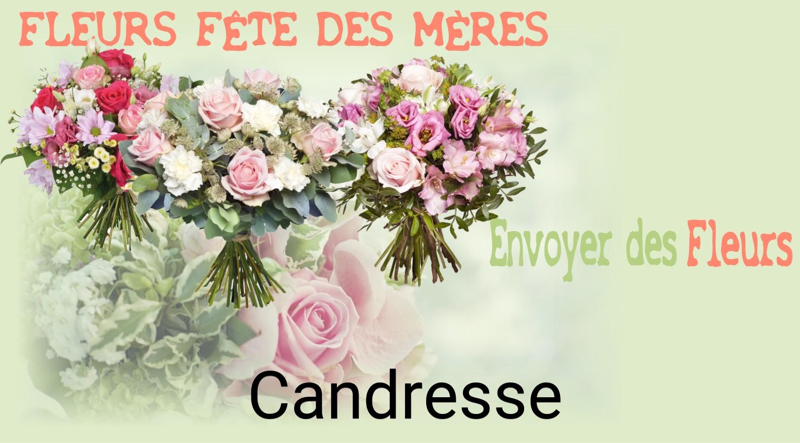 Bouquet de Fête des Mères livré à Candresse