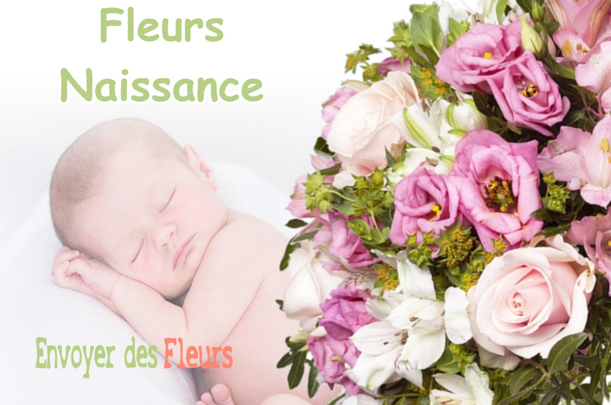 lIVRAISON FLEURS NAISSANCE à CANDRESSE